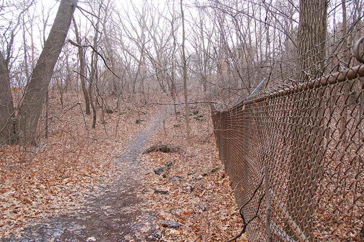 old fence line 9