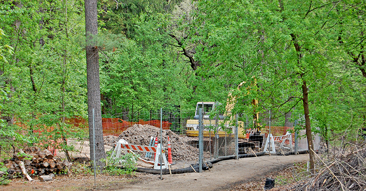 garden construction area