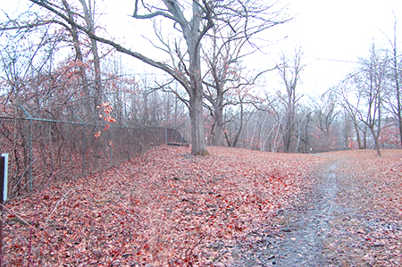 open upland area near fence