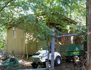 Curator's work shed