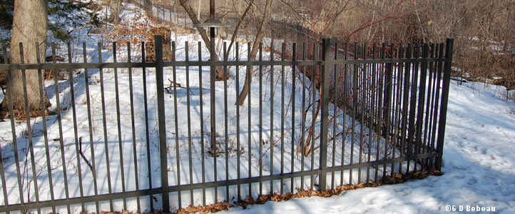 New Back Garden Fence