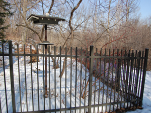 Back Fence Winter