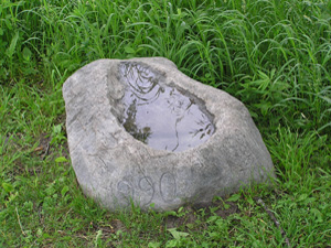 Birdbath