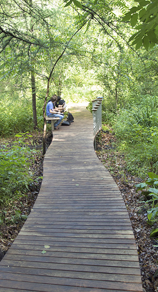 Boardwalk segment