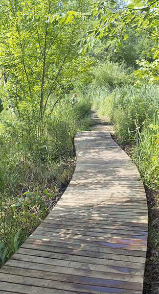 Boardwalk Segment