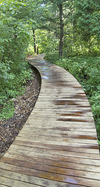 Boardwalk Segment