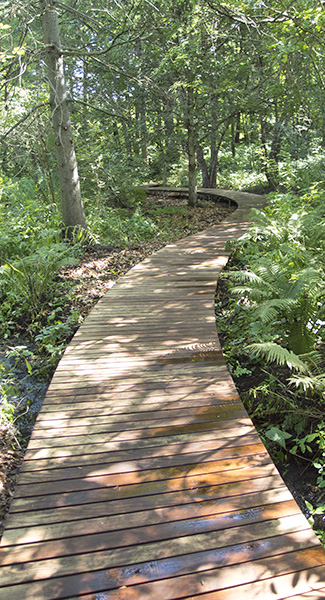 Boardwalk Segment