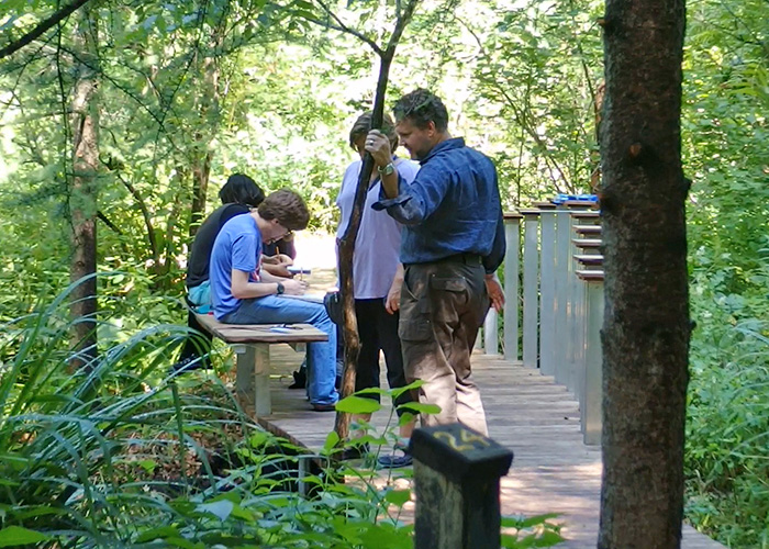 Boardwalk Segment