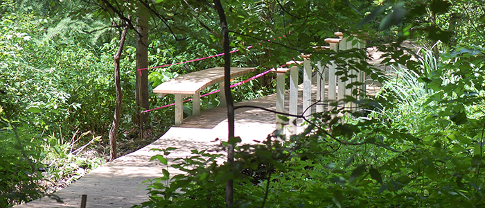 Boardwalk