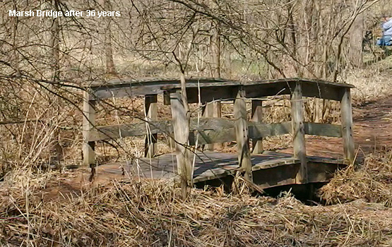2014 bog bridge