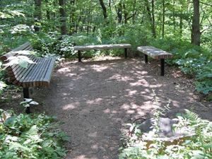 avery bird area