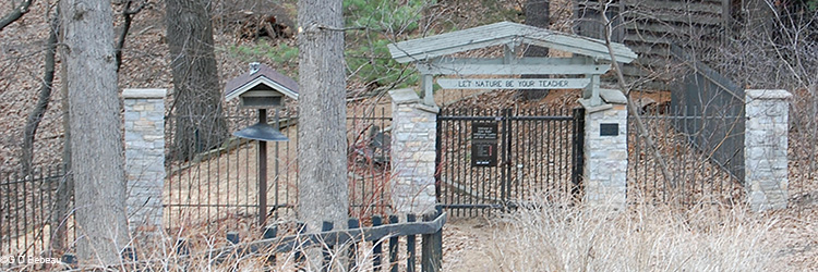 Garden front gate and fence