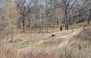 Spring view of restoration 2009