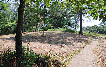 Restoration area 2008