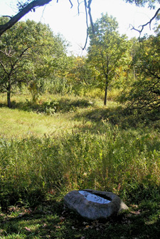 Upland Birdbath