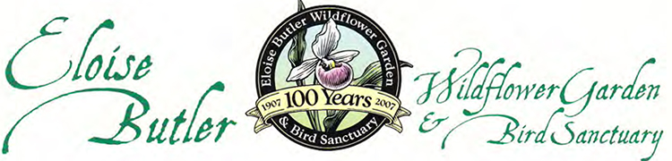 100th anniversary logo