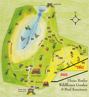 modern garden plan map