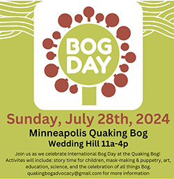Bog Day poster
