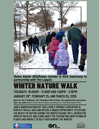 winter nature walk poster
