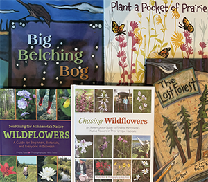 graphic image of books