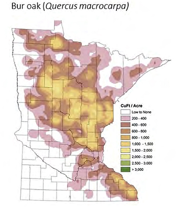 Bur Oak range chart
