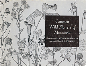 Book cover - Common Wildflowers