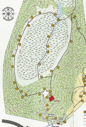 Plan of the bog
