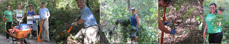 Invasive removal work