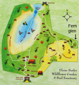 plan map of garden