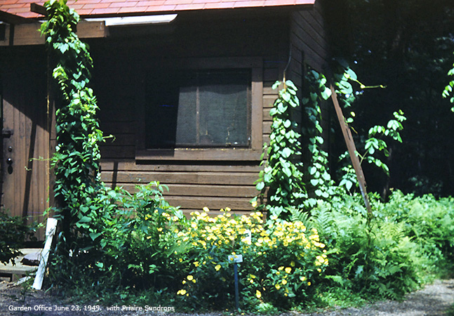 Garden Office 1949