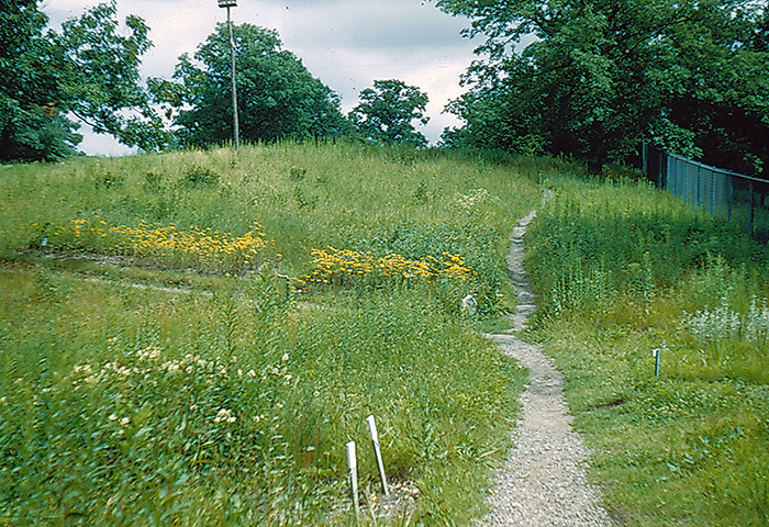 UPland entrance path 1950