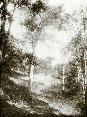 East Garden path in 1913