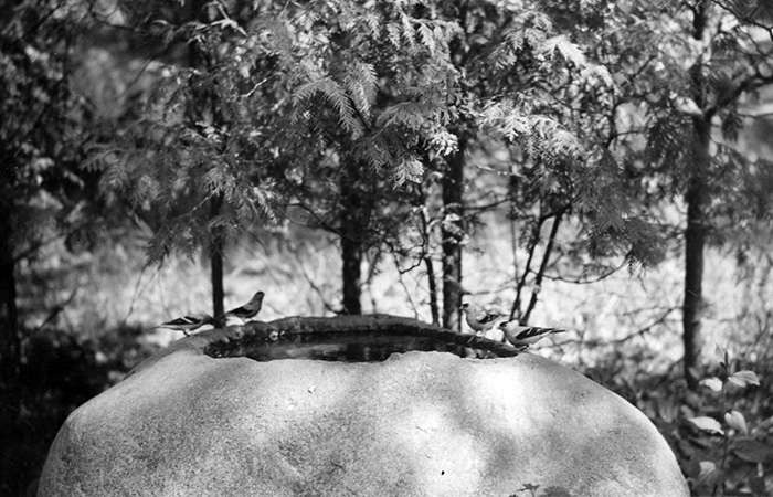 1917 birdbath historic photo in 1934