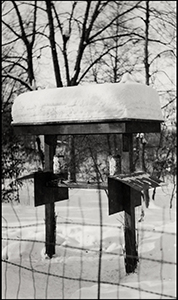 1936 bird feeding station