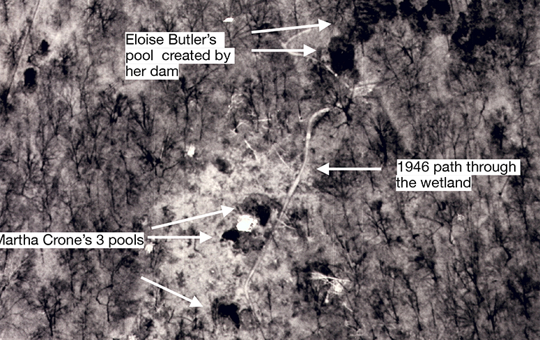 wetland aerial photo