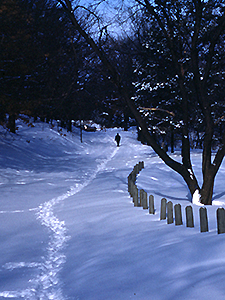 Hill leading to Garden