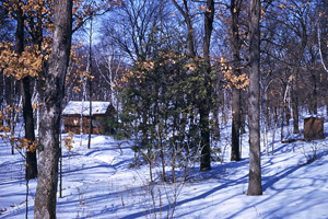 1953 Cabin in winter