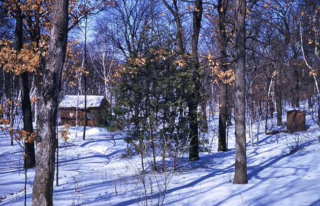 Old Garden office in winter 1953