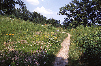 upland garden scene
