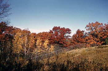 Upland in fall of 1955