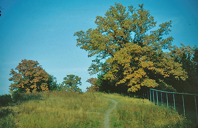 Historical upland photo