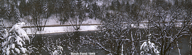 Birch pond 1949