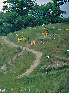 Upland Garden 1948