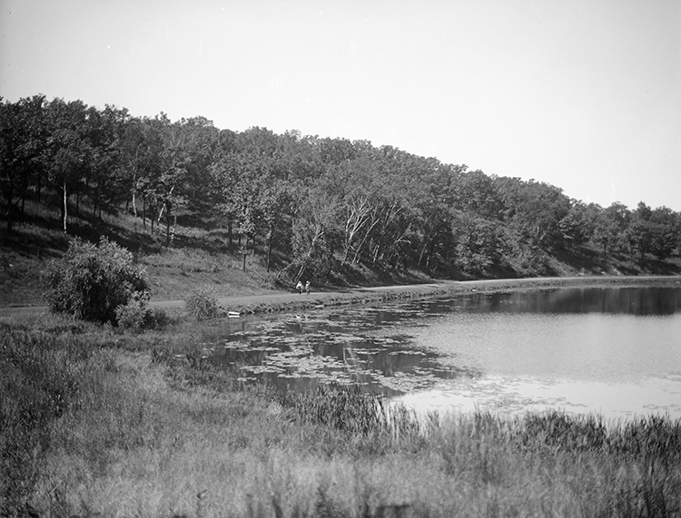 birch pond 1916