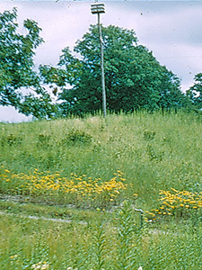 Martha Crone's Birdhouse