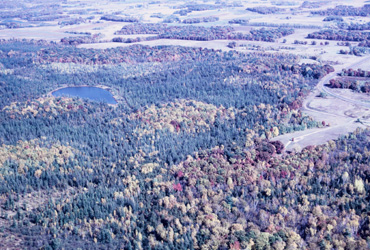 Cedar Creek Forest Area