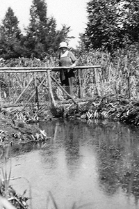 Eloise Butler on Bridge