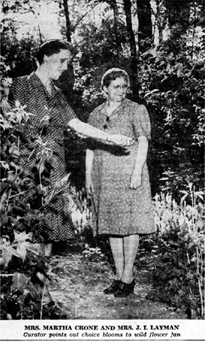Newspaper article