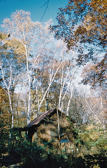 Old Office Fall view 1955