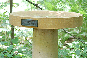 new Amy Odell birdbath